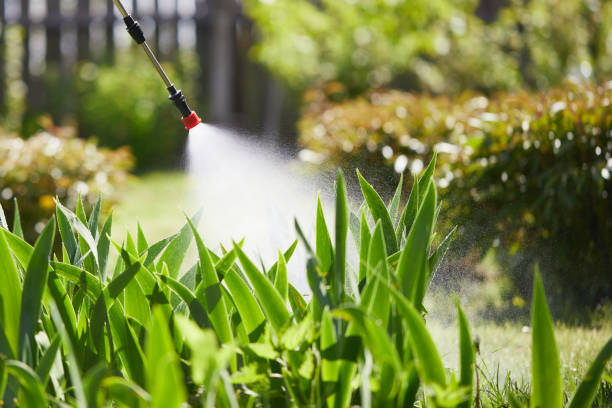 Tamper-Resistant Bait Stations for Rodents in Silver Lake