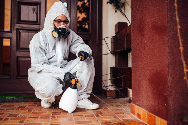 Attic and Crawl Space Rodent Treatment in Silver Lake