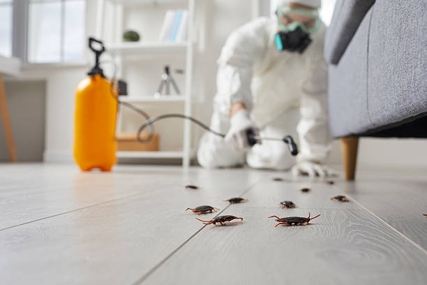 Commercial Rodent Management in Silver Lake